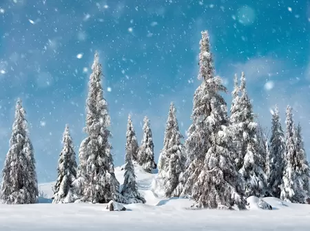 My Village Background Snowy Pine Trees 78x58 cm - image 1