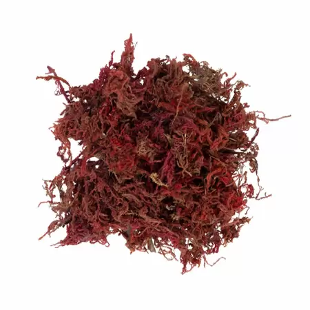 My Village Moss Red 30g - image 2