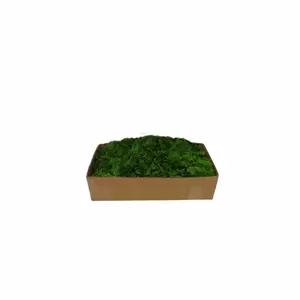 My Village Reindeer Moss Green 500g - image 2