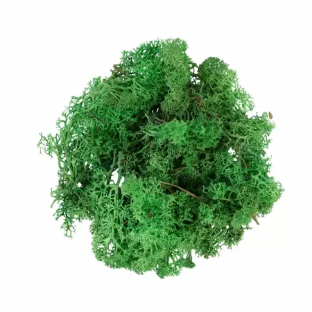 My Village Reindeer Moss Green 500g - image 3